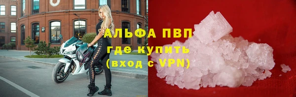 соль ск Белокуриха